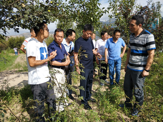 安康市中心血站赴甘肃陇南考察花椒基地—促推联村